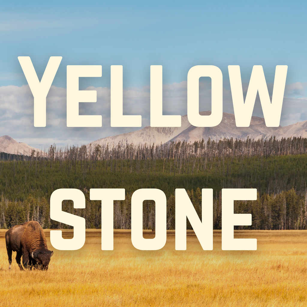 The Yellowstone Set – Two Forge-Finish Fixed-Blade Knives