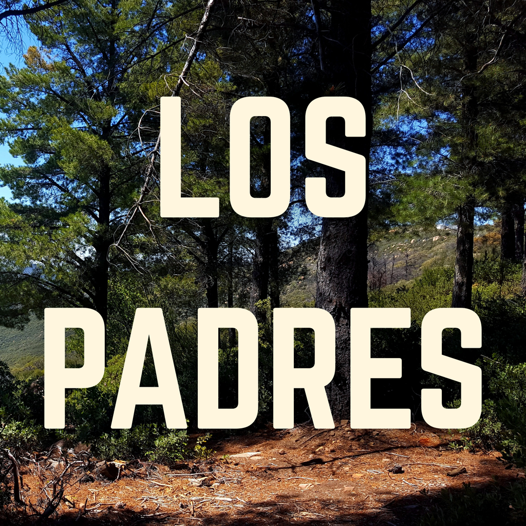 Los Padres Evergreen Pinecone Resin Clip-Point Knife