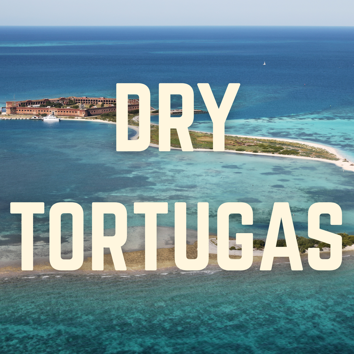 Dry Tortugas Damascus Tanto Knife with Turquoise Resin Handle